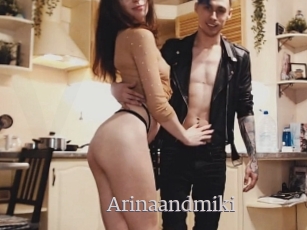 Arinaandmiki