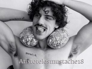 Aristotelesmustache18