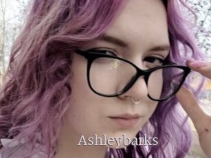 Ashleybarks
