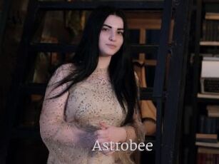 Astrobee