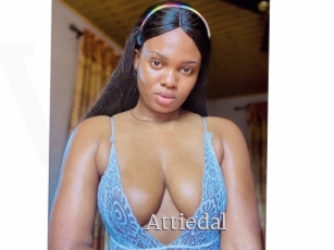 Attiedal