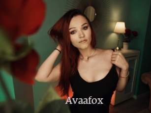 Avaafox