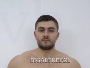 BIGALFREDXL