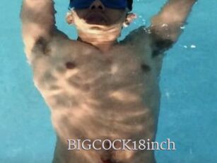 BIGCOCK18inch