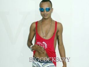 BIGCOCKBOYY
