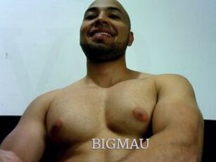 BIGMAU