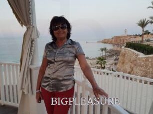 BIGPLEASURE