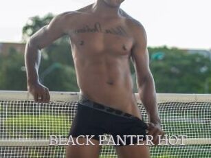 BLACK_PANTER_HOT