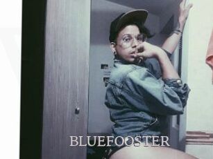 BLUEFOOSTER