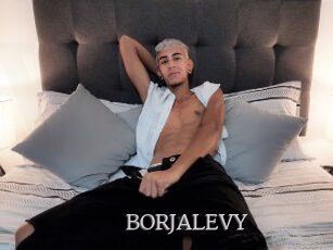 BORJALEVY