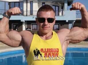 BULLMASS