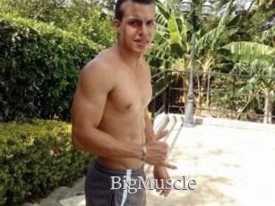 Big_Muscle