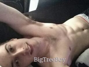 BigTreeBoy