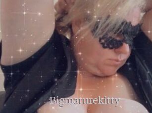 Bigmaturekitty