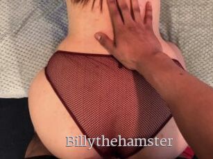 Billythehamster