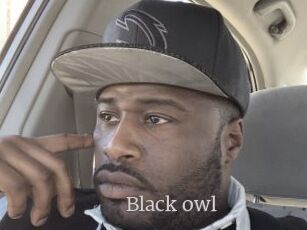 Black_owl