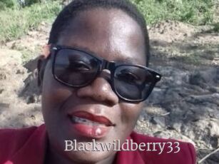 Blackwildberry33