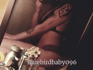 Bluebirdbaby096