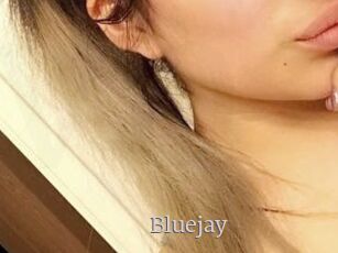 Blue_jay