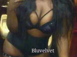 Bluvelvet