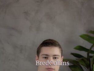 BredCollins