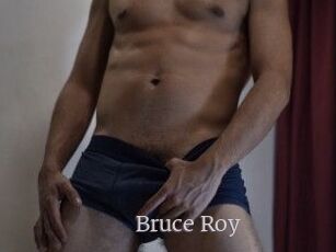 Bruce_Roy