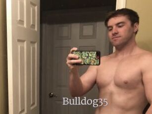 Bulldog35