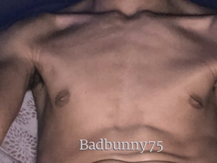 Badbunny75