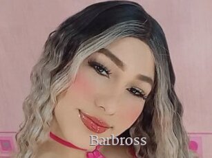 Barbross