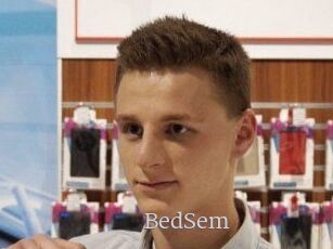 BedSem