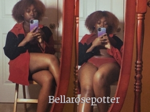 Bellarosepotter