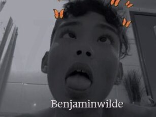 Benjaminwilde