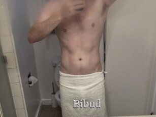 Bibud