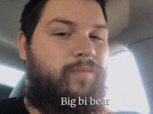 Big_bi_bear