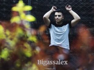 Bigassalex
