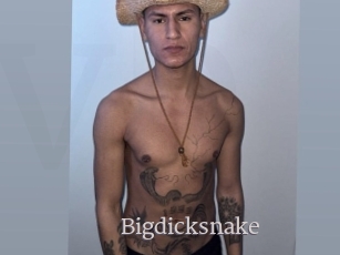 bigdicksnake Vidéo Beurettes