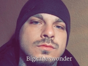 Bigkaneswonder