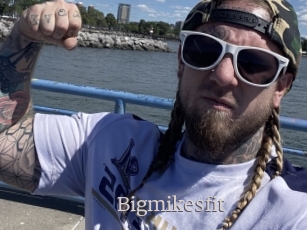 Bigmikesfit