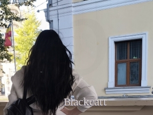 Blackcatt