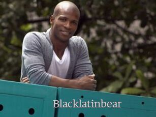 Blacklatinbear