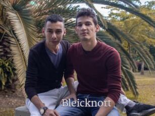 Bleicknort