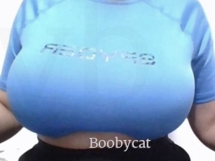 Boobycat