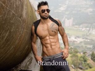 Brandonnt