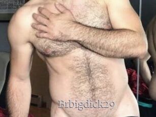 Brbigdick29