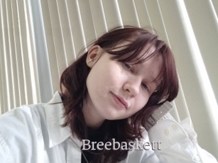 Breebaskett
