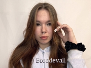 Breedevall