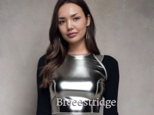 Breeestridge