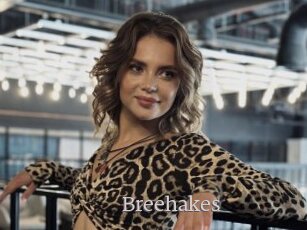 Breehakes