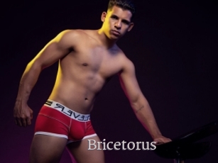 Bricetorus