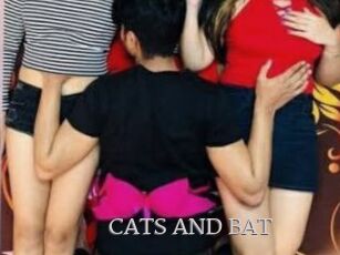 CATS_AND_BAT